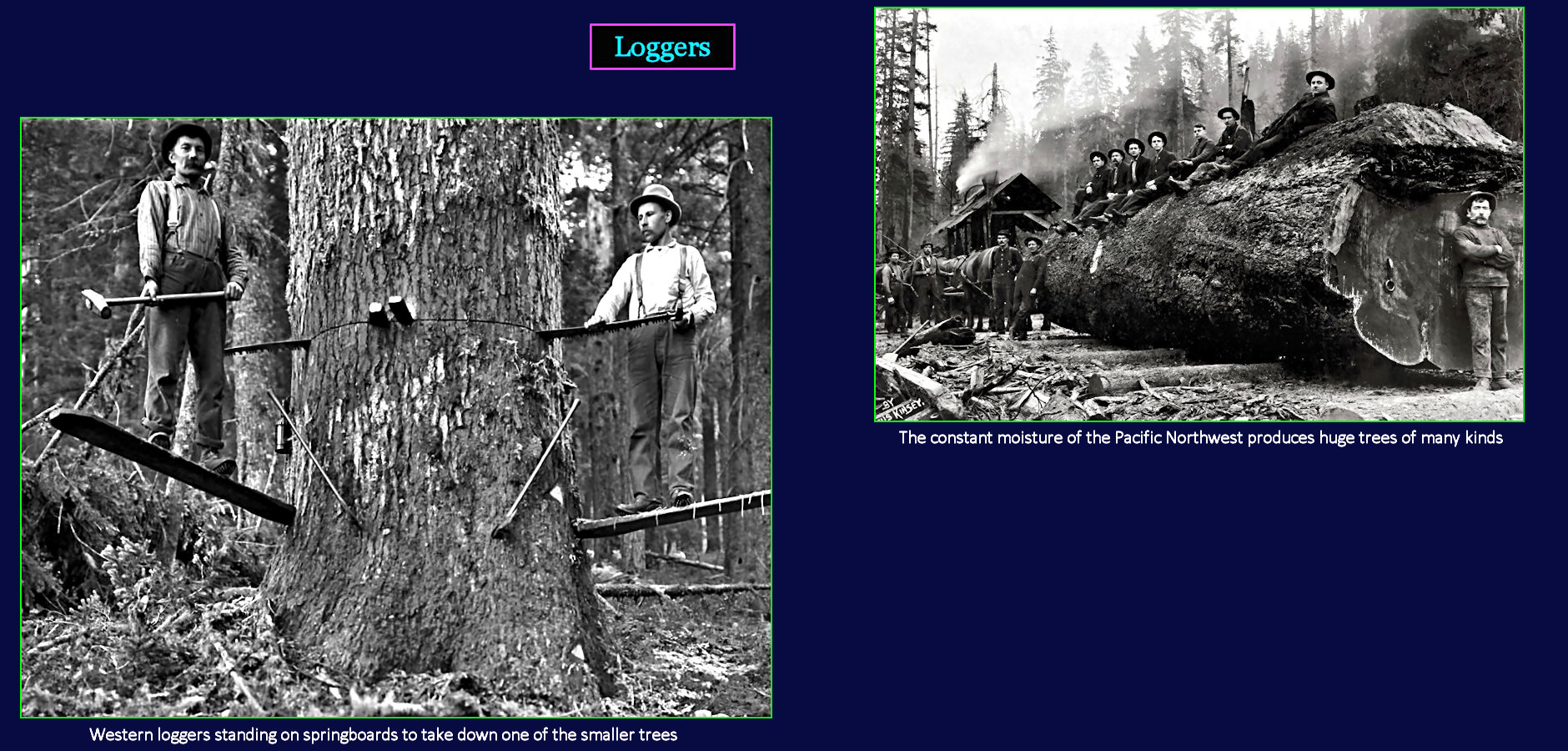 Northwest loggers, 1910